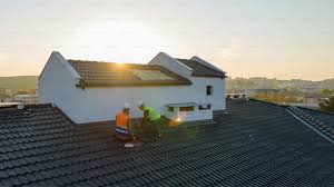 Best Roof Moss and Algae Removal  in Fabens, TX